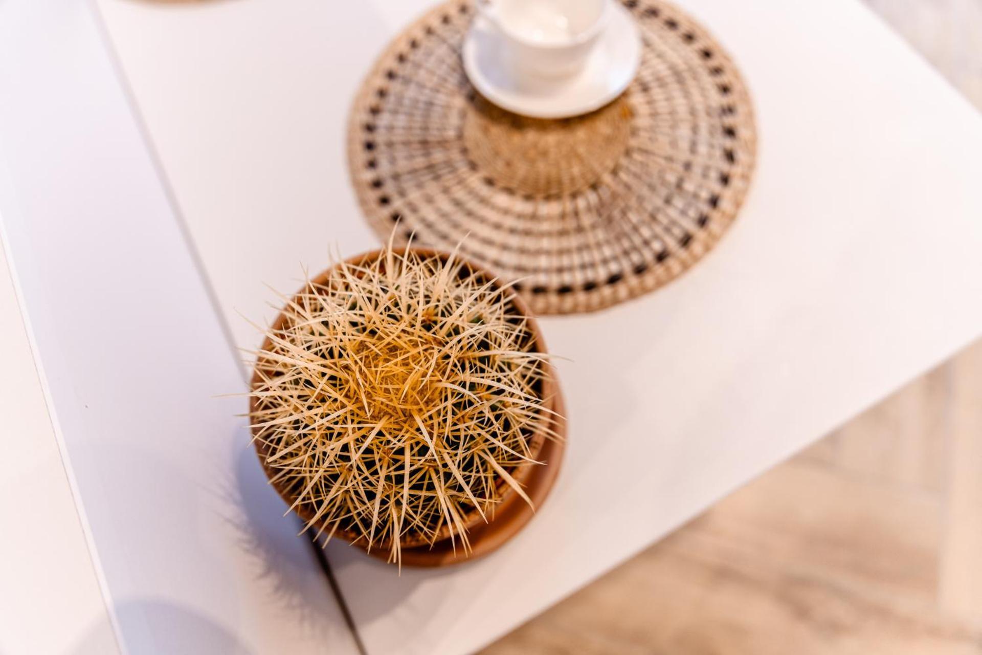 Apartment Hop & Lulu Delux